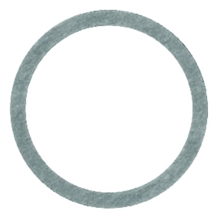 Danco Danco Nylon 13/16 in. D X 1 in. D Cap Thread Gasket 35561B